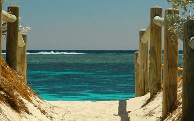 Your Eco-Friendly Summer Getaway