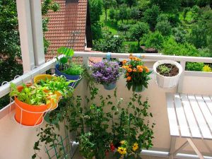 Eco-friendly apartment or condo living