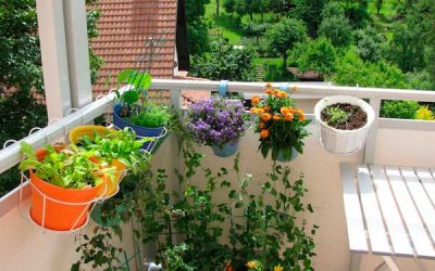 Living Green – Your Eco-Friendly Apartment, Part II