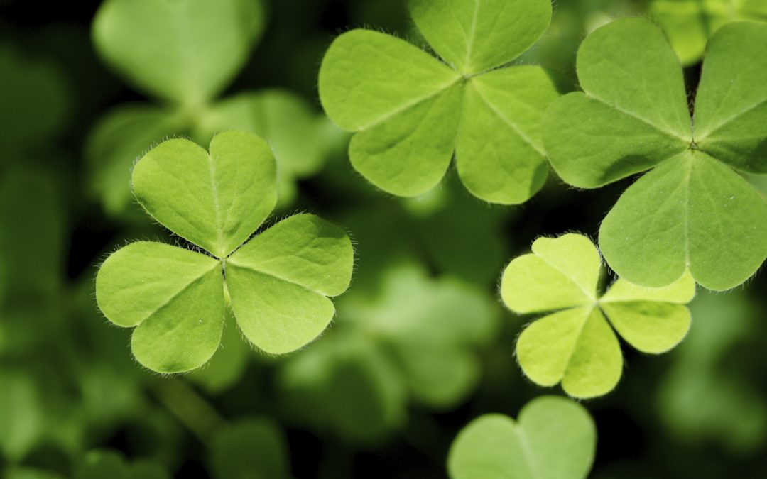 Putting the “Green” in St. Patrick’s Day