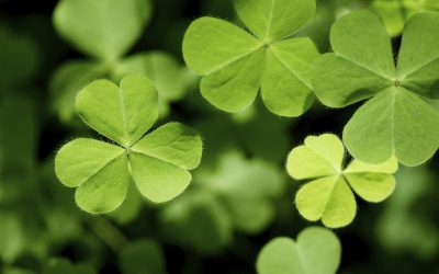 Putting the “Green” in St. Patrick’s Day