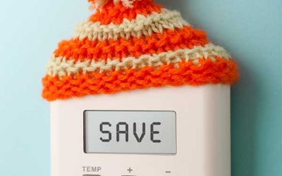 Going Green in A Small Space: Your Eco-Friendly Apartment or Condo