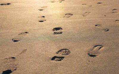 Top Tips for Reducing your Family’s Environmental Footprint