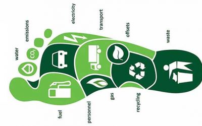 How To Calculate Your Carbon Footprint