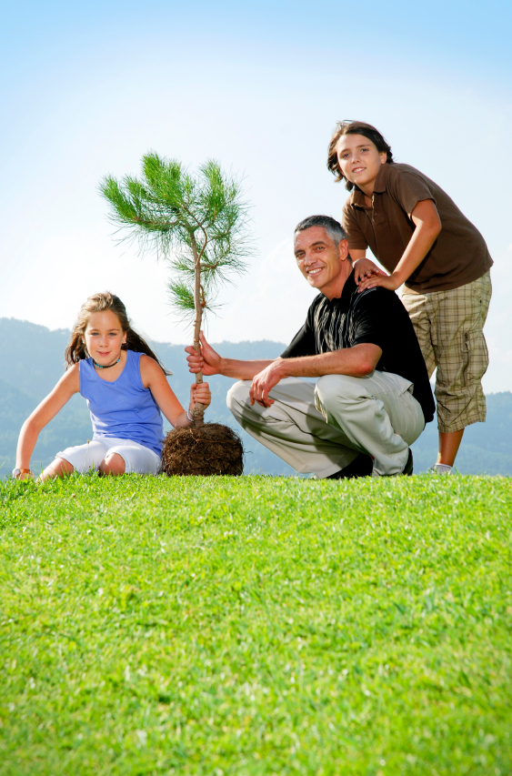 Tree Planting Save Trees Rather that Cut Down