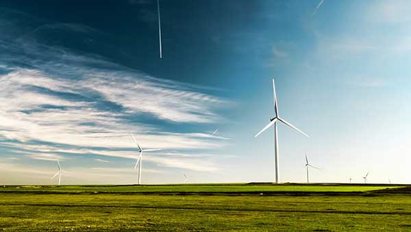 Renewable Energy vs. Traditional Energy: The Real Cost