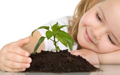 Earth Day Projects for Kids