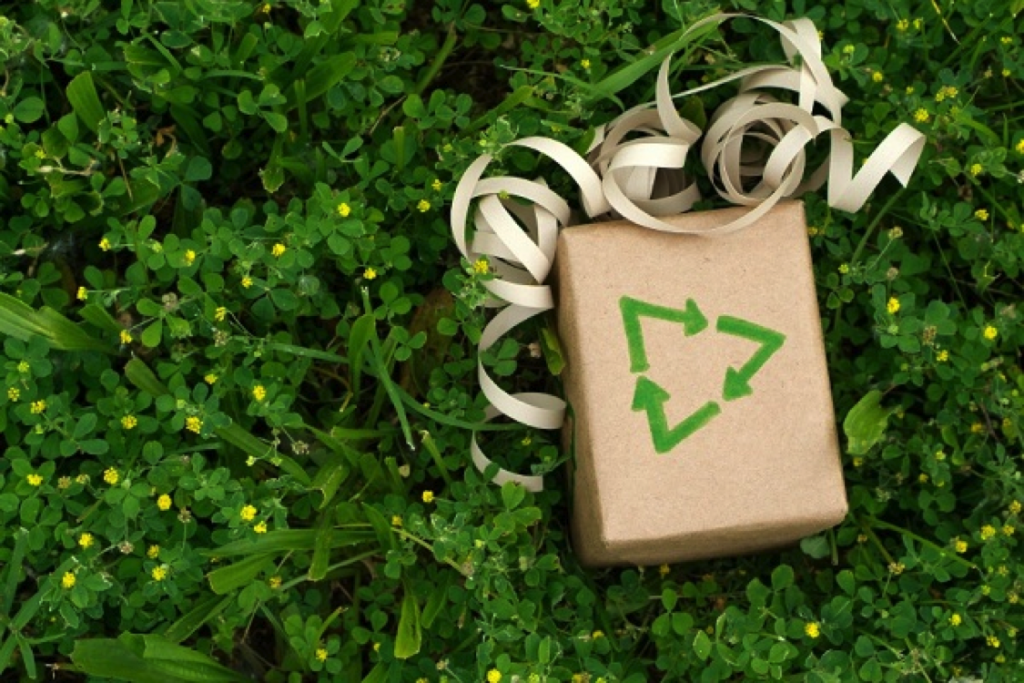Eco-Friendly Ideas for Motherโs Day