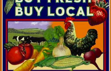 Eco-Friendly Summer Travel, Part I: Your Guide to Keeping it Green