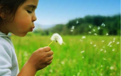 Your Kids Summer Holidays: Keeping the Green in the Routine