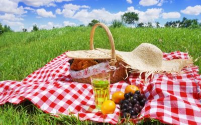 Your Eco-Friendly Picnic