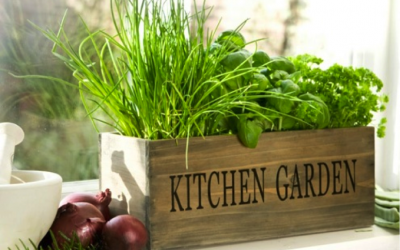 Indoor Gardening 101