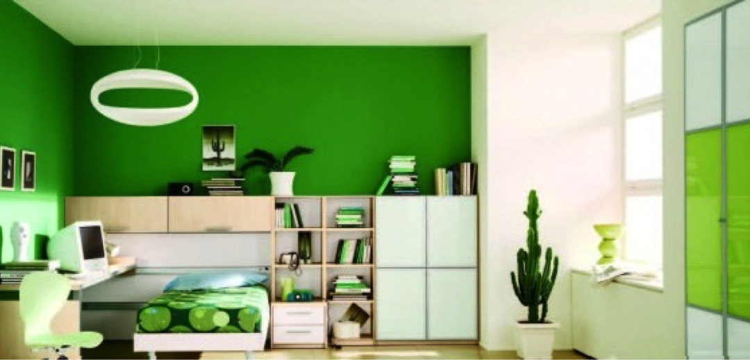 Going Green 101: Living the Eco-Friendly Dorm Life