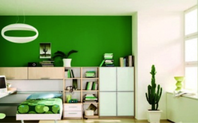 Going Green 101: Living the Eco-Friendly Dorm Life