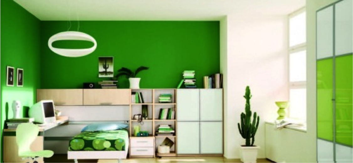 Going Green 101: Living the Eco-Friendly Dorm Life