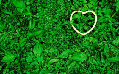 Your Next Date: Make It Eco-Friendly!