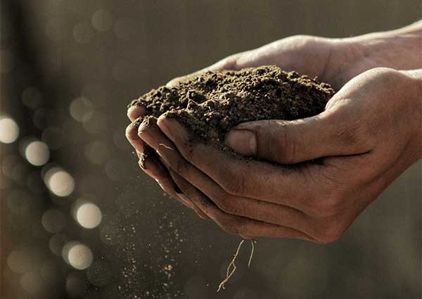 Grow Your Garden Green: Eight Green Landscaping Ideas