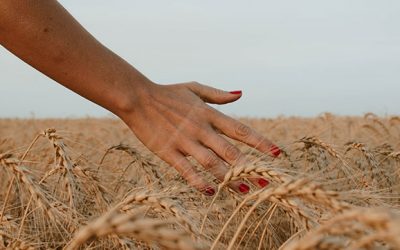 A New Season for Going Green: Sustainable Fall Gardening Tips