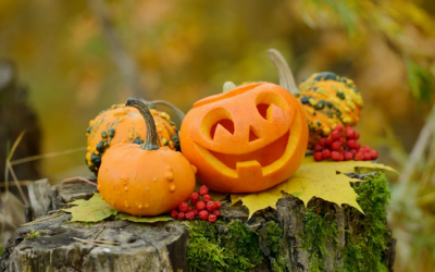 5 Tips for a Green Halloween