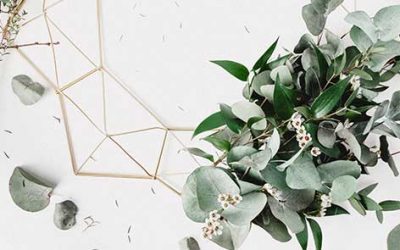 Green Holiday Tips, Part II