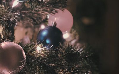 6 Tips for a Safe Holiday Season