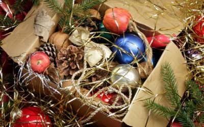 Green Your Holiday Clean Up