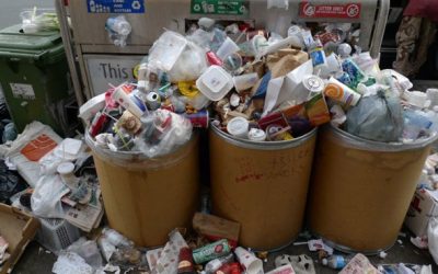 10 Tips to Reduce Household Waste