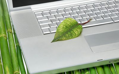 Your Eco-Friendly Office Event