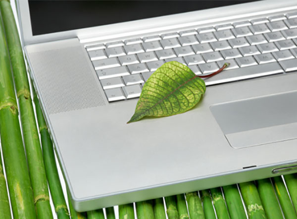 Your Eco-Friendly Office Event