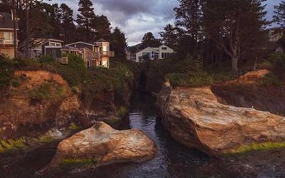 Spring Cleaning, Spring Greening For Home