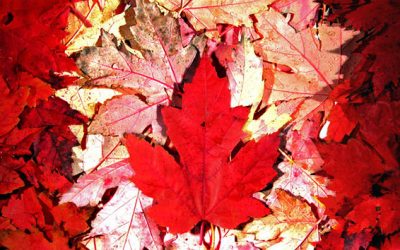 Planning Ahead to Celebrate Canada the Green Way