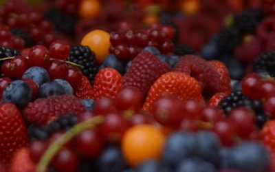 Fall’s Bountiful Recipes