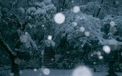 Green Inns and Bed & Breakfasts for Your Winter Holiday