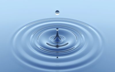 Seven Ways to Save Water Without Spending a Dime