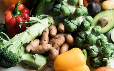 A Diet Primer: Vegetarian, Vegan, Organic or Paleo