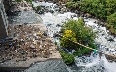 An Eco-Friendly Guide: Hazardous Waste Disposal