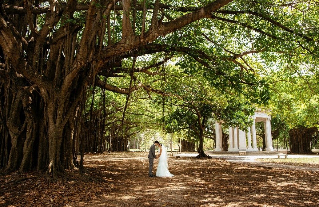 Save Energy During Wedding Season