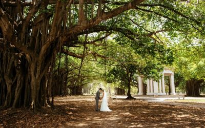 Save Energy During Wedding Season