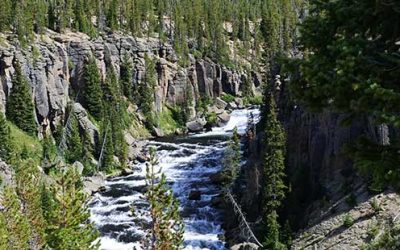 Last Minute Green Summer Escapes