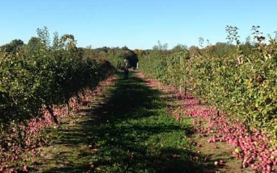 Your Fall Bucket List: The Best Pumpkin-Spiced Season Yet