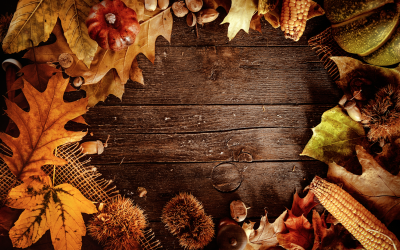 Tips for a Green Thanksgiving