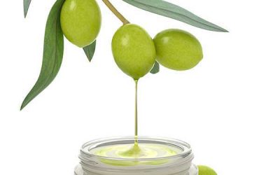 Eco-Friendly Holiday Hostess Gifts