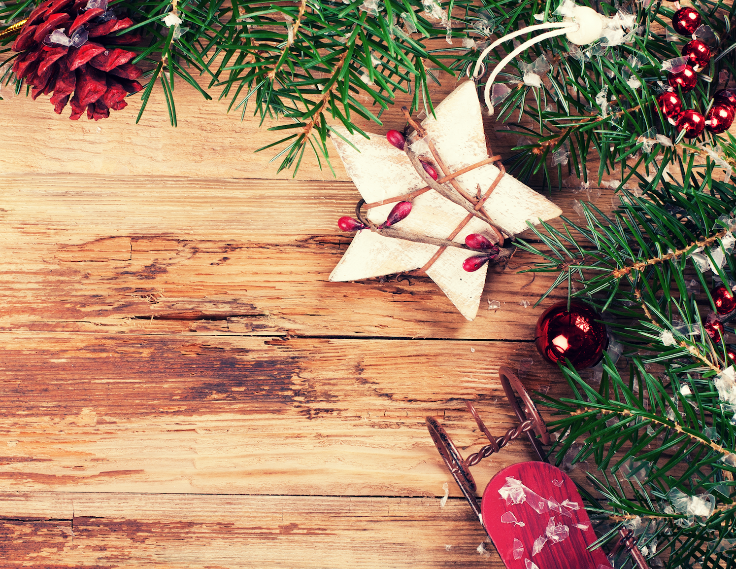 Sustainable Holiday Gift Ideas