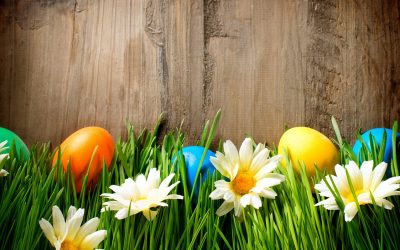 Eco-Easter Ideas