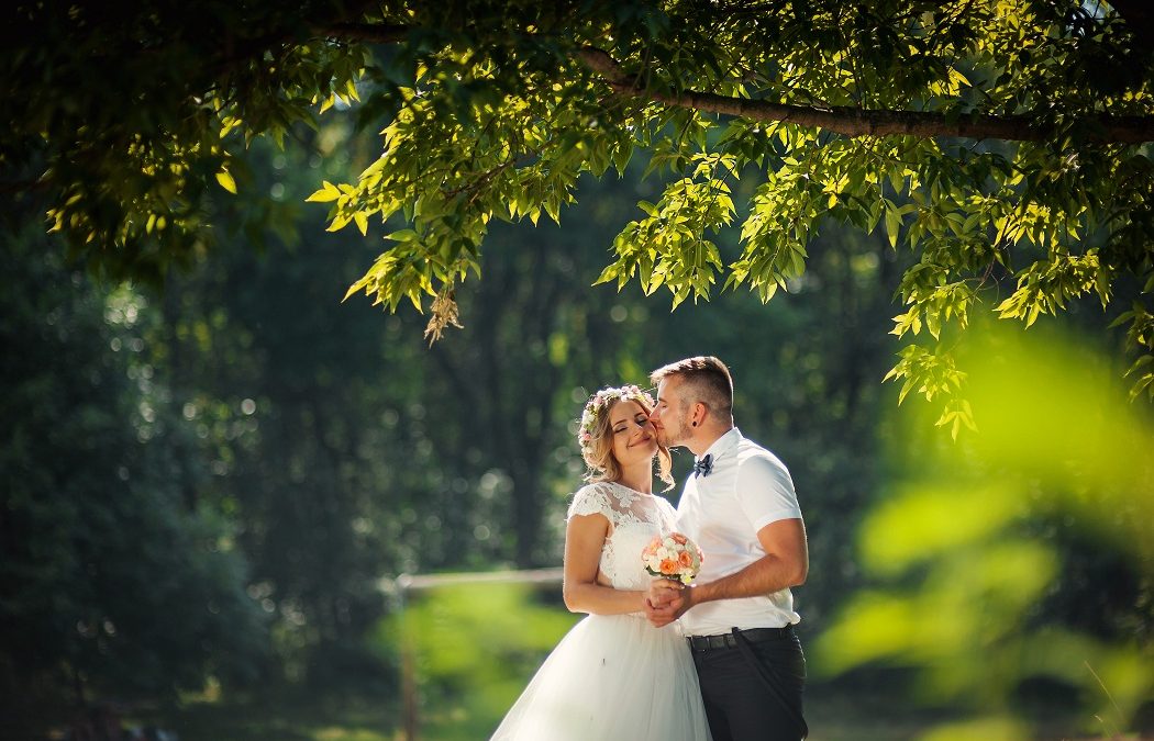 Green Wedding Carbon Offsets from terrapass