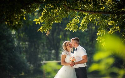 Green Wedding Carbon Offsets from terrapass