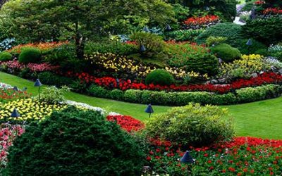 Lower Your Energy Bills With Landscaping