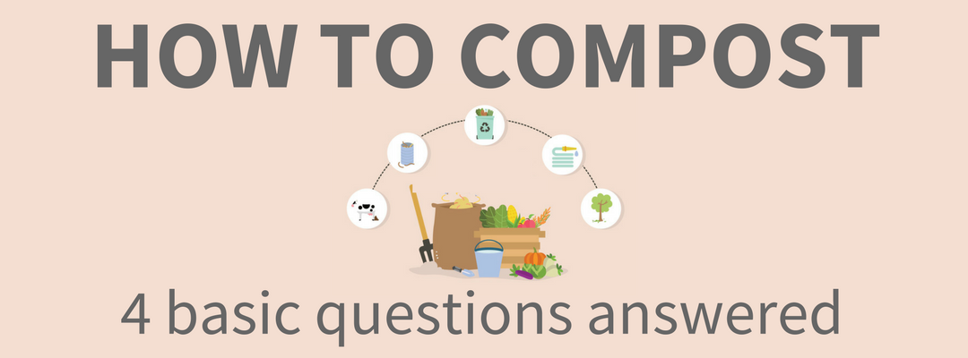How to Compost: 4 Basic Questions Answered