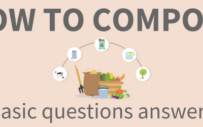 How to Compost: 4 Basic Questions Answered