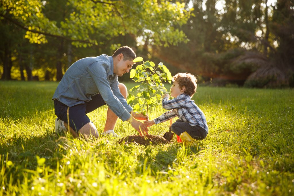 Celebrate Love A Tree Day